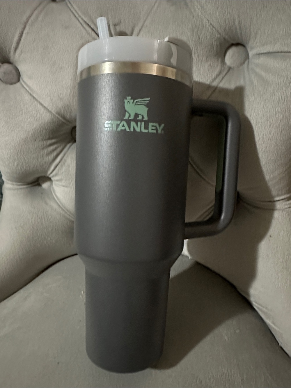 Stanley Dark Gray Travel Tumbler with Mint Logo and White Lid